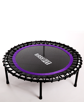 Батут TR-501 101 см, фиолетовый Батут TR-501 101 см, фиолетовый