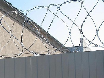 АСКЛ армированая колючая лента спиралевидная 600х50х5